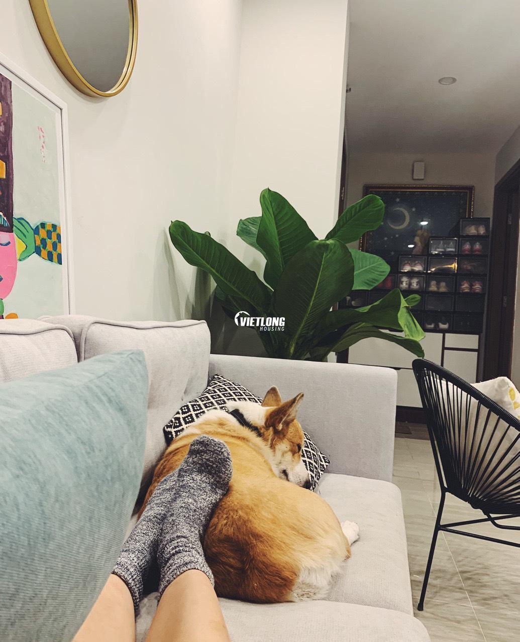 z2310142940454_9c3274c74e99474282629de9dbc5c865